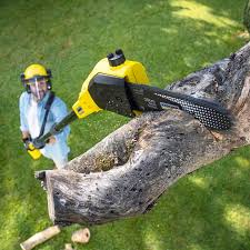 Best Hazardous Tree Removal  in Ivanhoe, TX