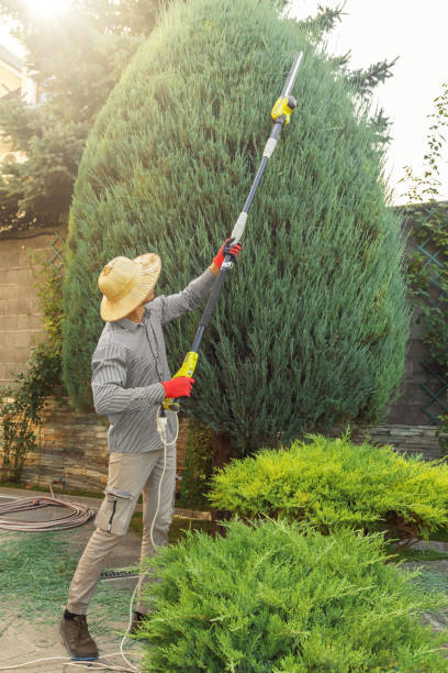 Best Commercial Tree Services  in Ivanhoe, TX